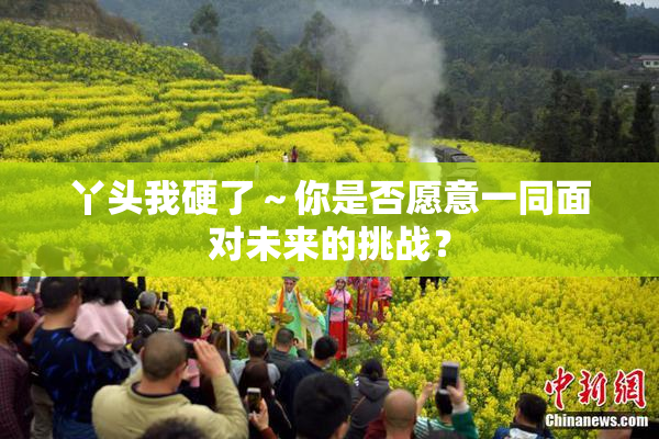 丫头我硬了～你是否愿意一同面对未来的挑战？