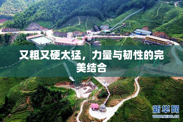 又粗又硬太猛，力量与韧性的完美结合