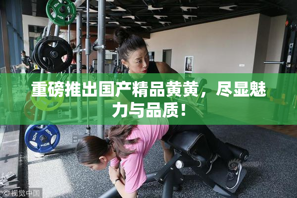 重磅推出国产精品黄黄，尽显魅力与品质！