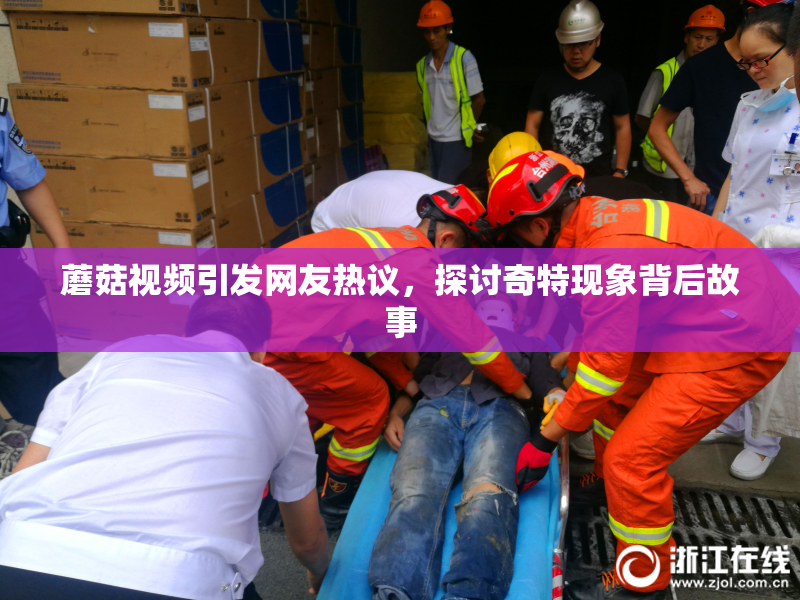 蘑菇视频引发网友热议，探讨奇特现象背后故事