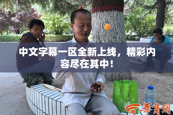 中文字幕一区全新上线，精彩内容尽在其中！