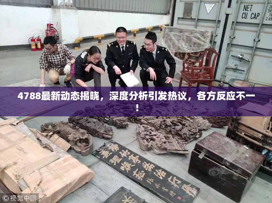 4788最新动态揭晓，深度分析引发热议，各方反应不一！