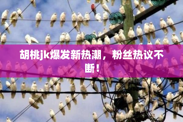 胡桃jk爆发新热潮，粉丝热议不断！