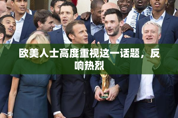欧美人士高度重视这一话题，反响热烈