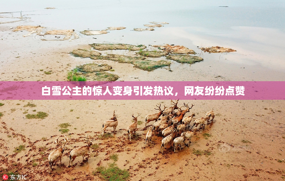 白雪公主的惊人变身引发热议，网友纷纷点赞