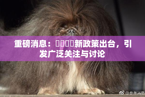 重磅消息：馃悢馃悢新政策出台，引发广泛关注与讨论