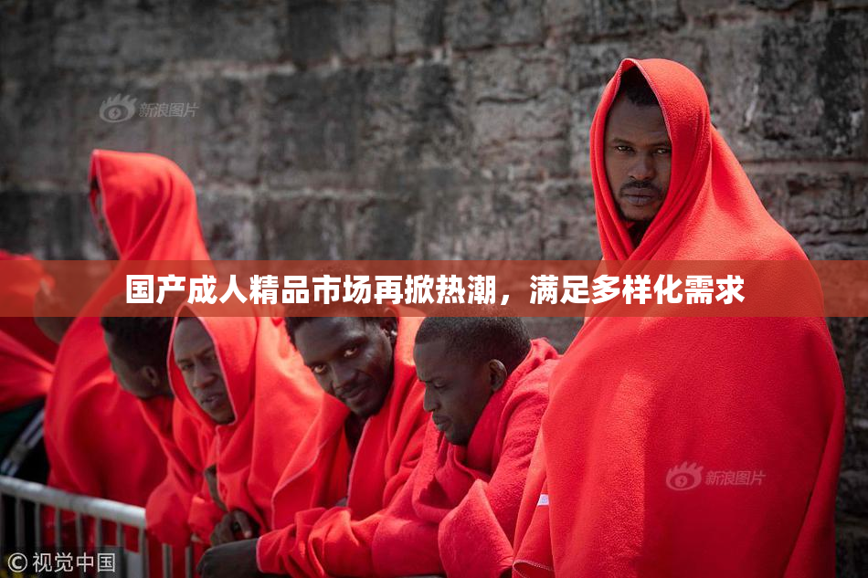 国产成人精品市场再掀热潮，满足多样化需求