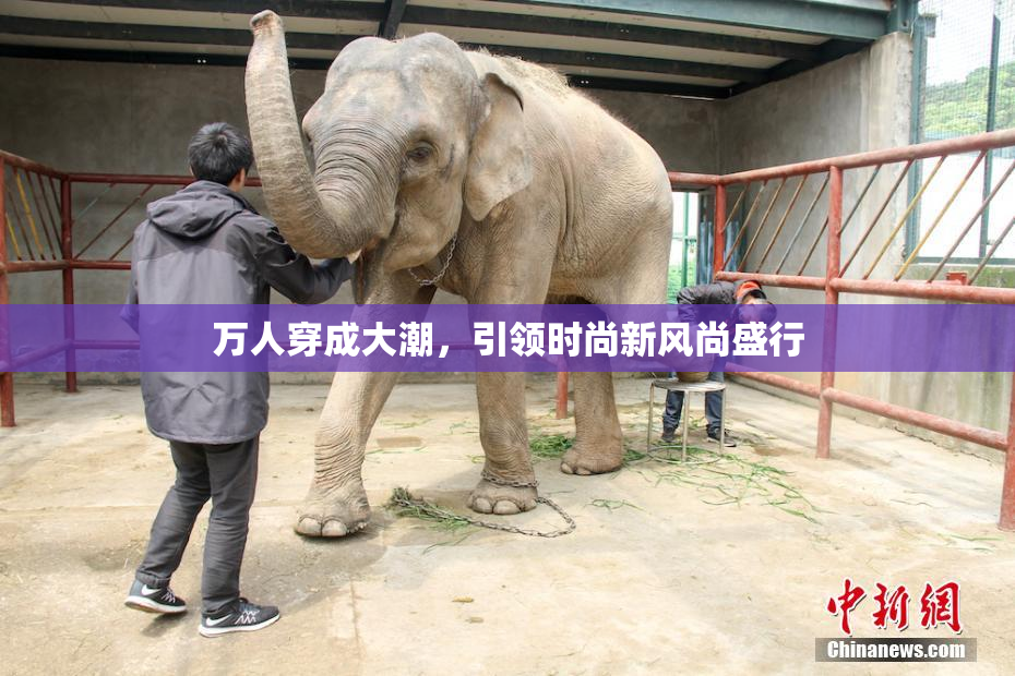万人穿成大潮，引领时尚新风尚盛行