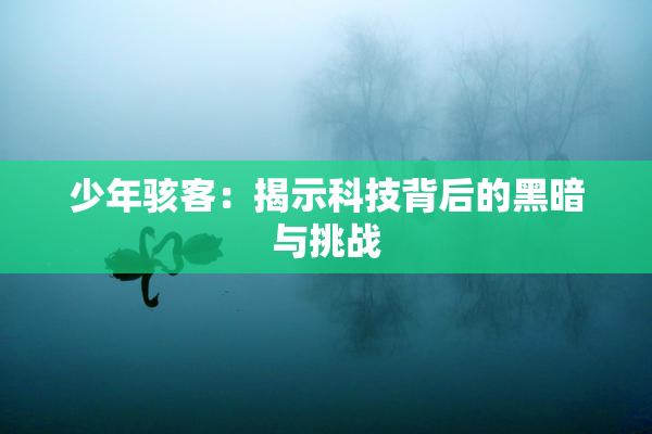 少年骇客：揭示科技背后的黑暗与挑战