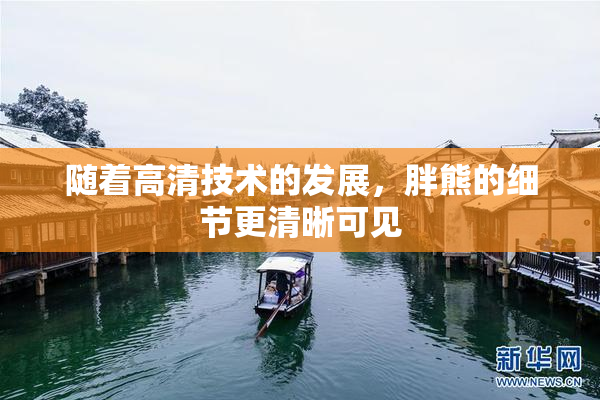 随着高清技术的发展，胖熊的细节更清晰可见