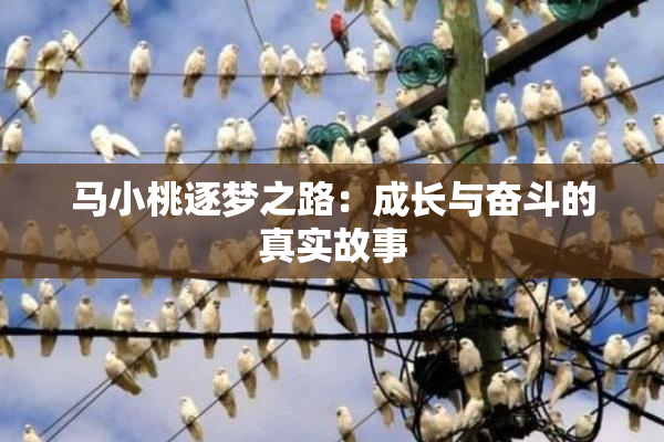 马小桃逐梦之路：成长与奋斗的真实故事