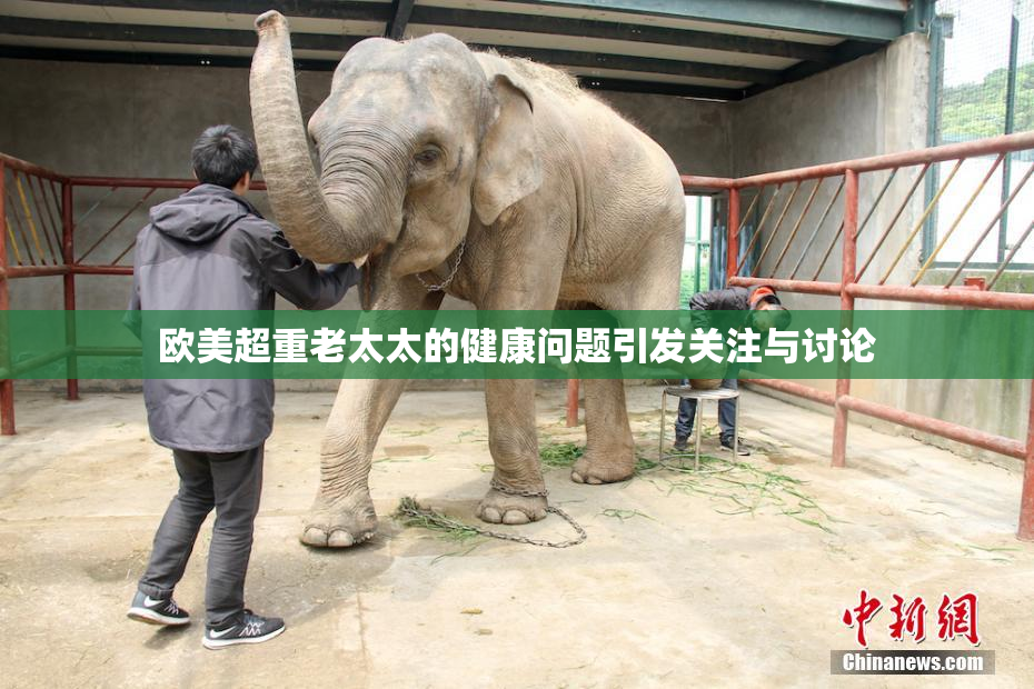 欧美超重老太太的健康问题引发关注与讨论