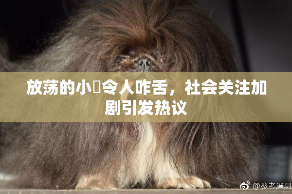 放荡的小婬令人咋舌，社会关注加剧引发热议