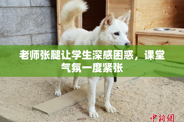 老师张腿让学生深感困惑，课堂气氛一度紧张