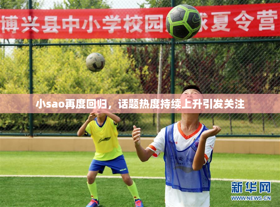 小sao再度回归，话题热度持续上升引发关注