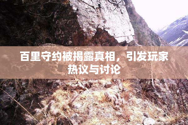 百里守约被揭露真相，引发玩家热议与讨论
