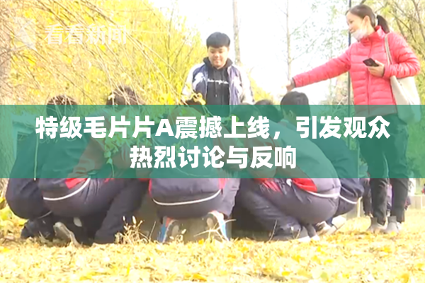 特级毛片片A震撼上线，引发观众热烈讨论与反响