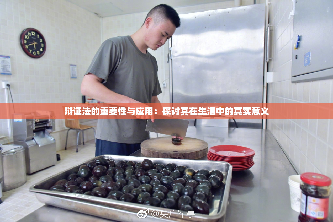 辩证法的重要性与应用：探讨其在生活中的真实意义