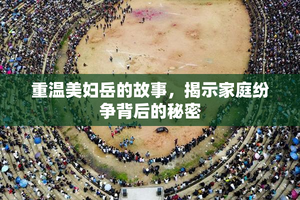 重温美妇岳的故事，揭示家庭纷争背后的秘密