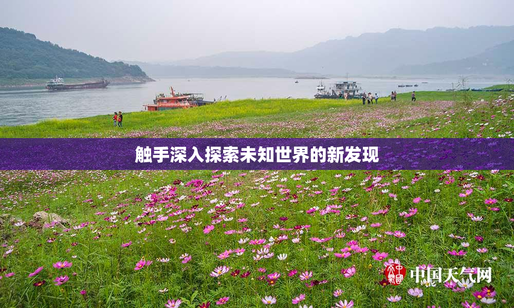 触手深入探索未知世界的新发现