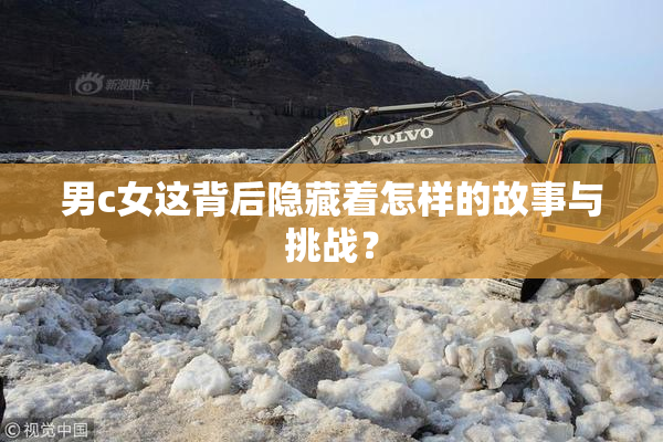 男c女这背后隐藏着怎样的故事与挑战？