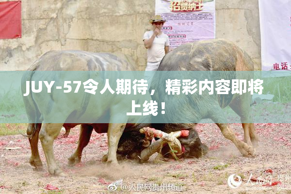 JUY-57令人期待，精彩内容即将上线！