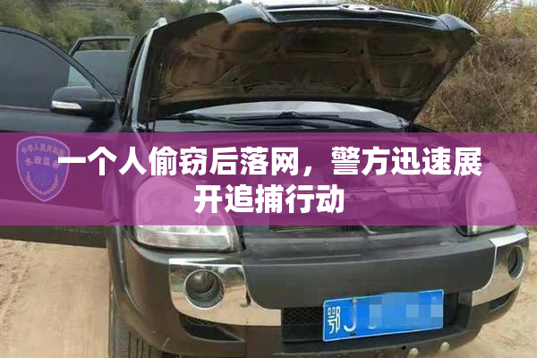 一个人偷窃后落网，警方迅速展开追捕行动
