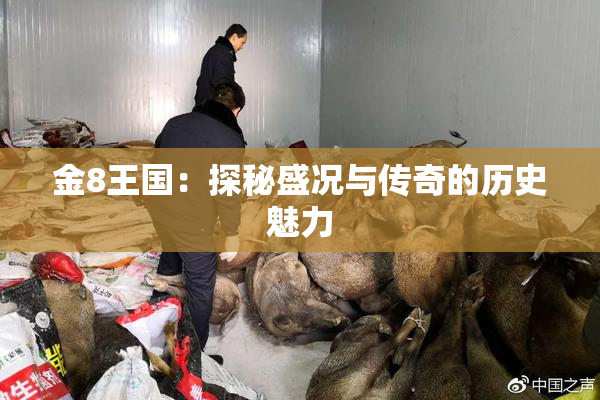 金8王国：探秘盛况与传奇的历史魅力