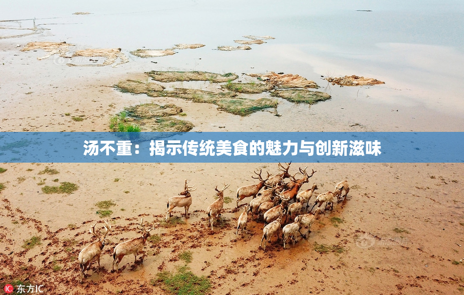 汤不重：揭示传统美食的魅力与创新滋味