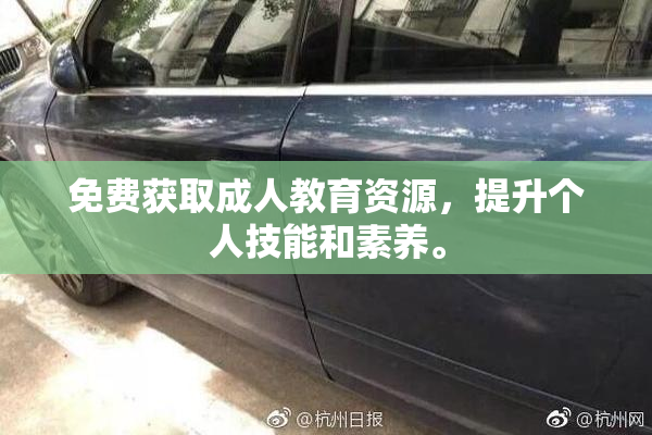 免费获取成人教育资源，提升个人技能和素养。