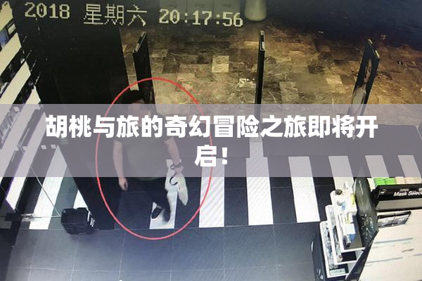 胡桃与旅的奇幻冒险之旅即将开启！
