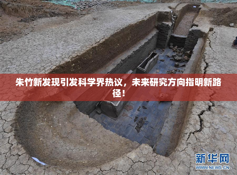 朱竹新发现引发科学界热议，未来研究方向指明新路径！