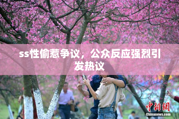 ss性偷惹争议，公众反应强烈引发热议