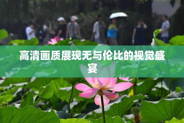 高清画质展现无与伦比的视觉盛宴