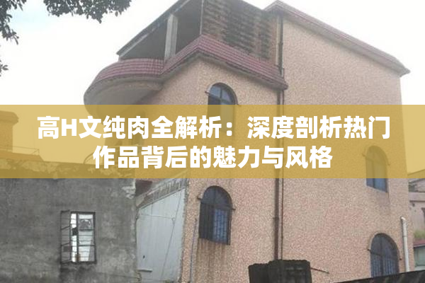 高H文纯肉全解析：深度剖析热门作品背后的魅力与风格