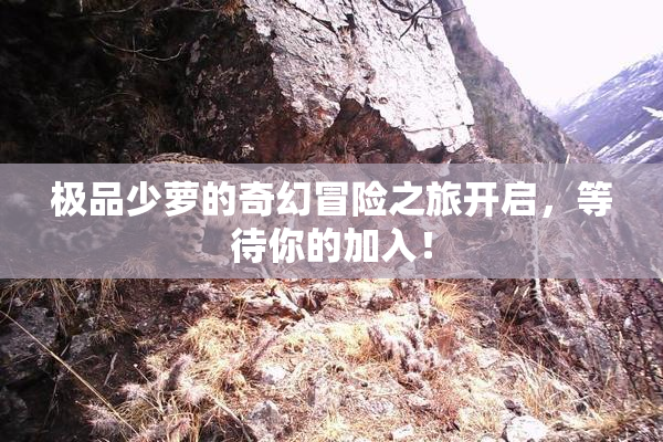 极品少萝的奇幻冒险之旅开启，等待你的加入！