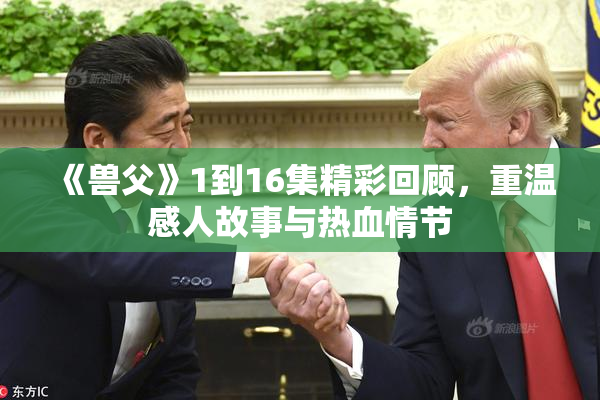 《兽父》1到16集精彩回顾，重温感人故事与热血情节