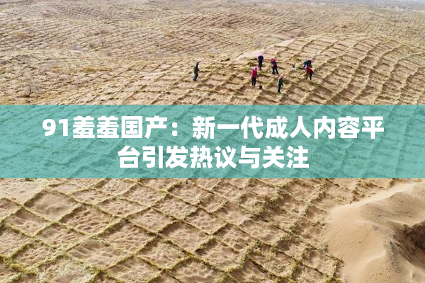 91羞羞国产：新一代成人内容平台引发热议与关注