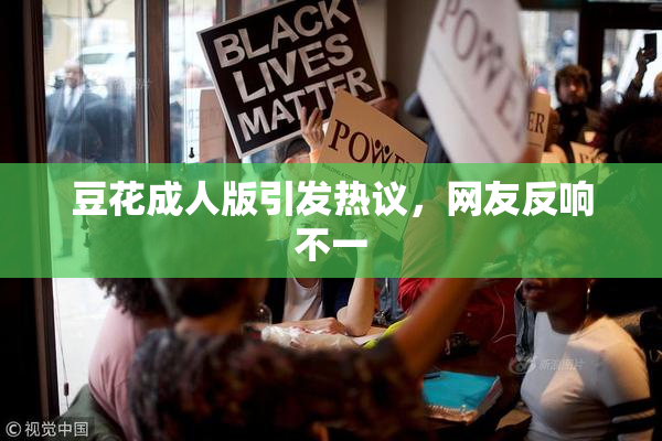 豆花成人版引发热议，网友反响不一