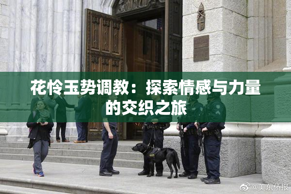 花怜玉势调教：探索情感与力量的交织之旅