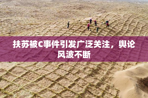 扶苏被C事件引发广泛关注，舆论风波不断