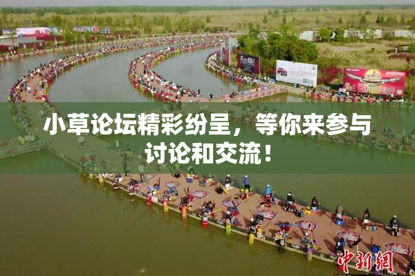 小草论坛精彩纷呈，等你来参与讨论和交流！