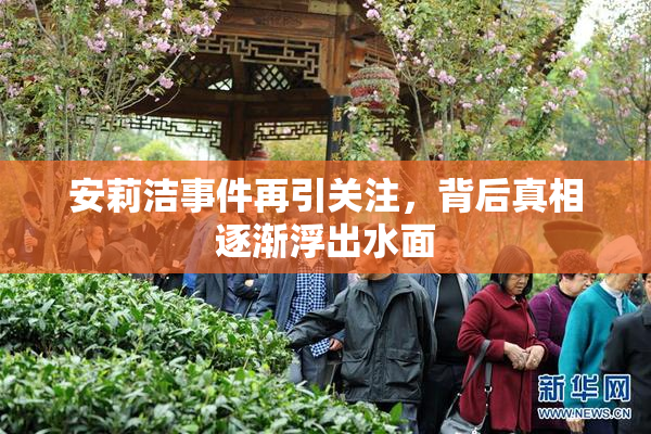 安莉洁事件再引关注，背后真相逐渐浮出水面