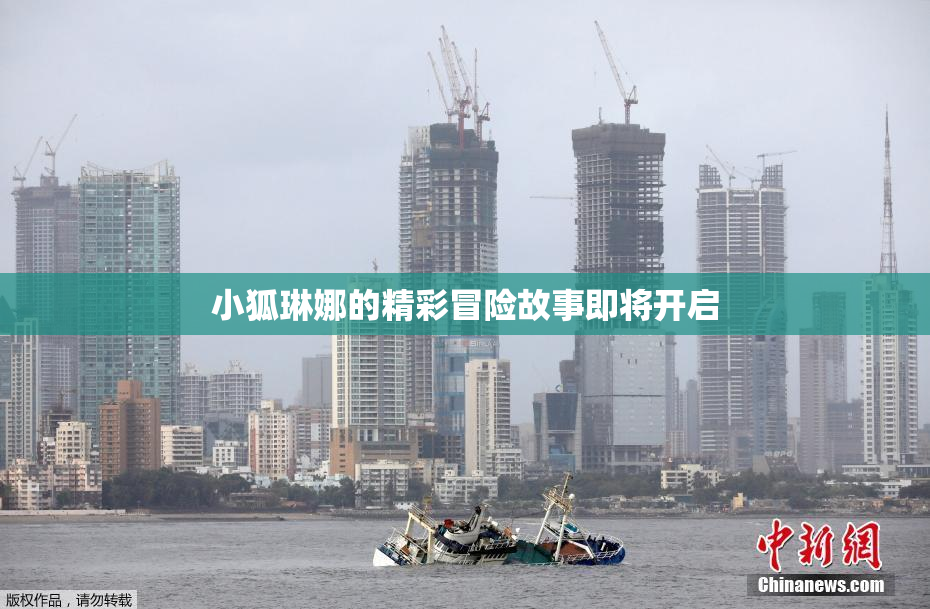 小狐琳娜的精彩冒险故事即将开启