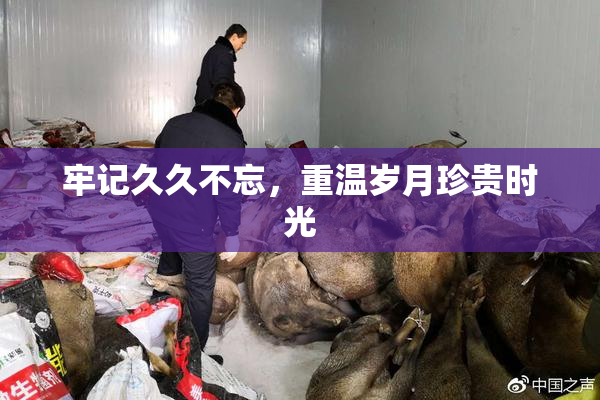 牢记久久不忘，重温岁月珍贵时光