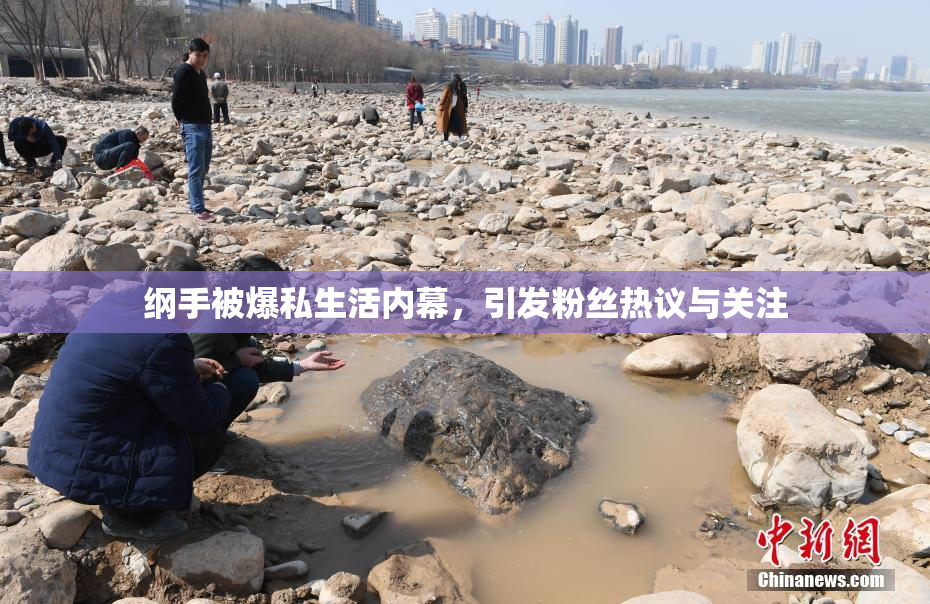 纲手被爆私生活内幕，引发粉丝热议与关注