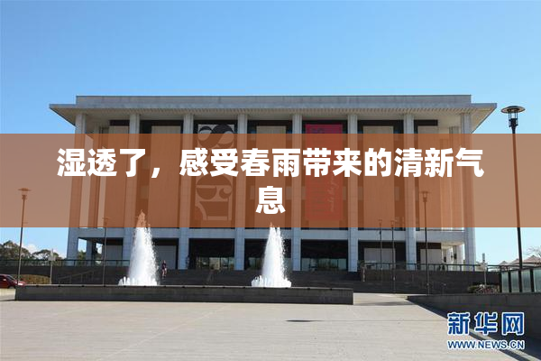 湿透了，感受春雨带来的清新气息