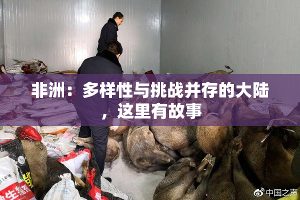 非洲：多样性与挑战并存的大陆，这里有故事