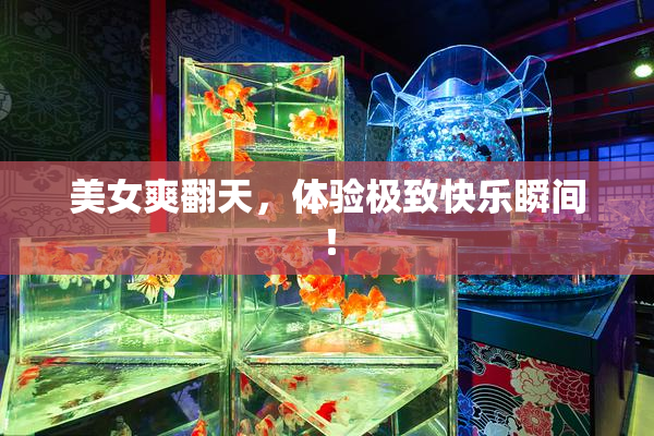 美女爽翻天，体验极致快乐瞬间！
