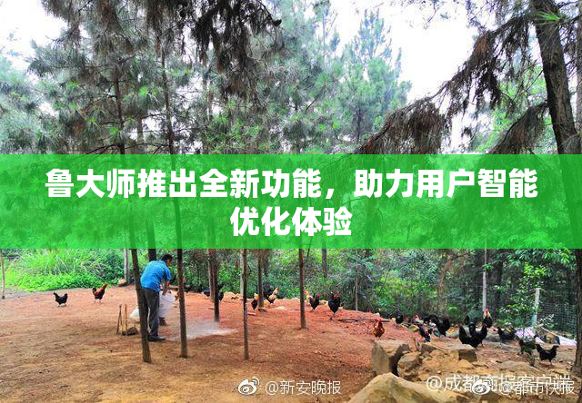 鲁大师推出全新功能，助力用户智能优化体验